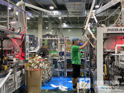 訂單培養(yǎng) 產(chǎn)教融合 平陽 教學工廠 助力經(jīng)濟發(fā)展