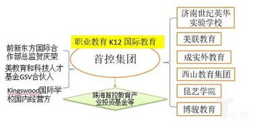 圖文解讀 職業教育與留學服務，上市公司布局全解析